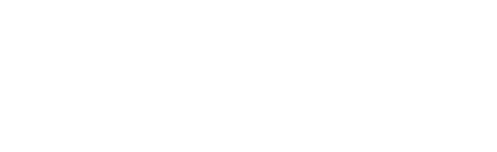 Anna Sui logo