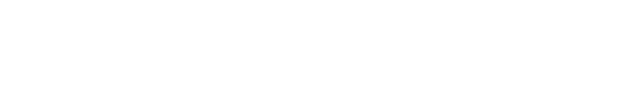Nishane logo