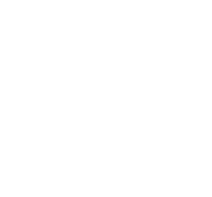 Profumum Roma logo