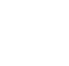 Flavia logo