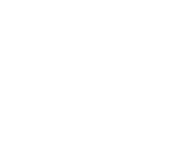 Lorenzo Pazzaglia logo