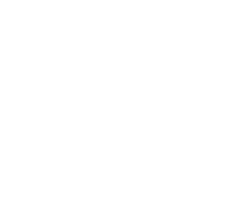 Alexandre.J logo