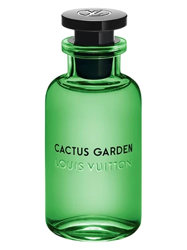 Cactus Garden