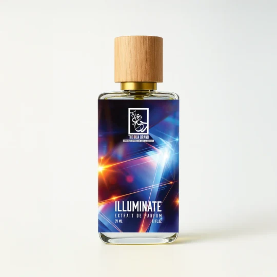 Illuminate