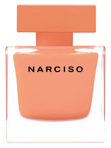 Narciso Ambree