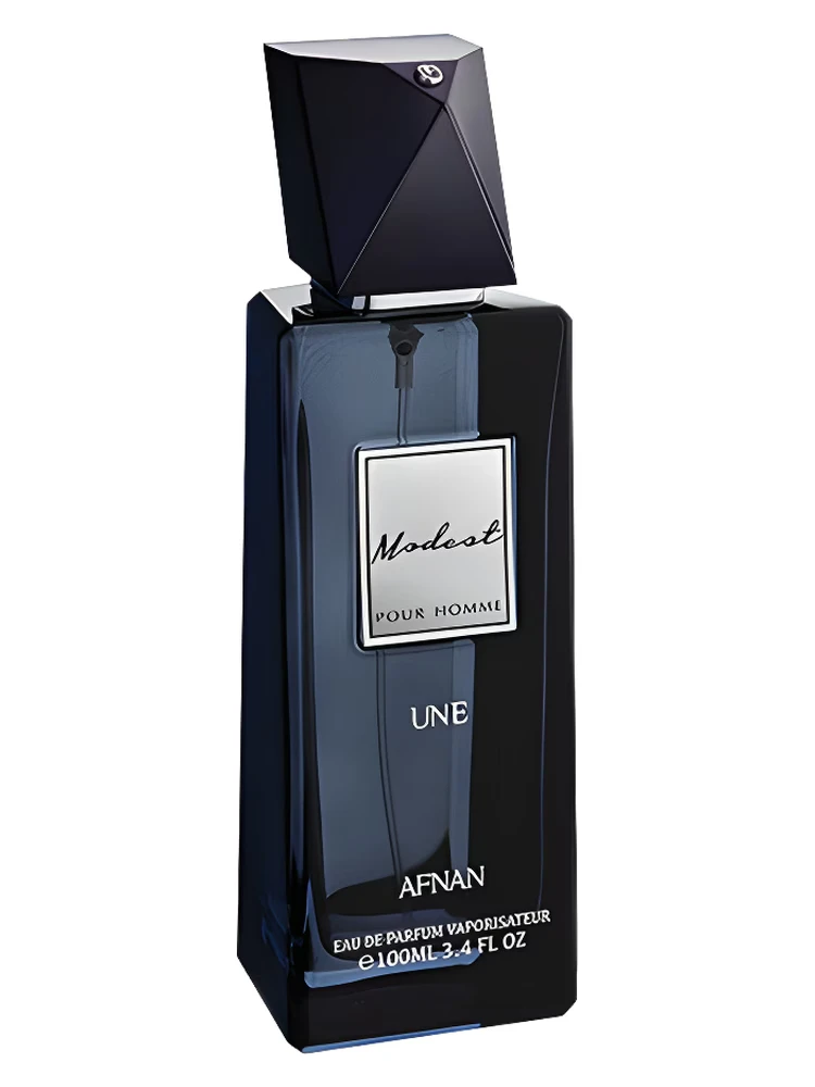 Modest Pour Homme Une