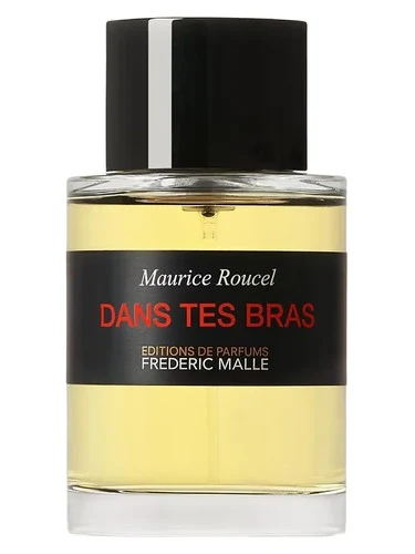 Dans Tes Bras