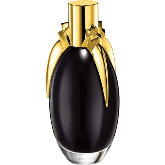 Lady Gaga Fame