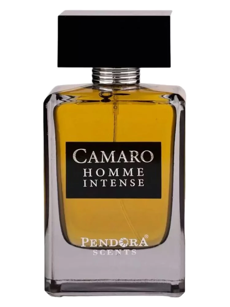 Paris Corner Camaro Homme Intense